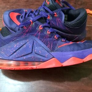 Lebron James 12 "Earned 23" Shoes